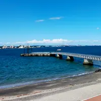 猿島の写真・動画_image_639163