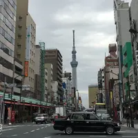 パンのペリカンの写真・動画_image_63967