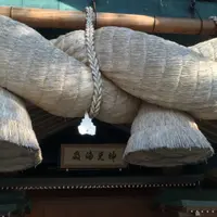 出雲大社の写真・動画_image_64056