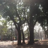 蘆花恒春園の写真・動画_image_64197