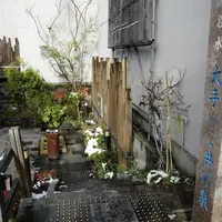 水の都大垣の湧き水の写真・動画_image_6425