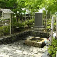 水の都大垣の湧き水の写真・動画_image_6426