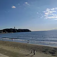 新江ノ島水族館の写真・動画_image_646655