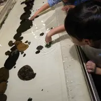 新江ノ島水族館の写真・動画_image_646656