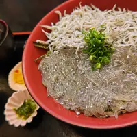 藤浪の写真・動画_image_646668