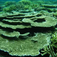 池間島の写真・動画_image_6477