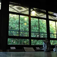 チーズケーキプリンセスの写真・動画_image_6481