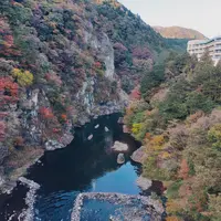 鬼怒楯岩大吊橋の写真・動画_image_650061