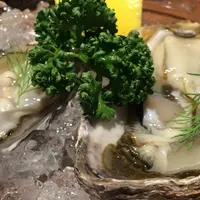 ＳＬＯＷの写真・動画_image_65055