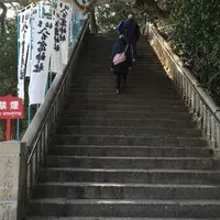 竹島の写真・動画_image_65310