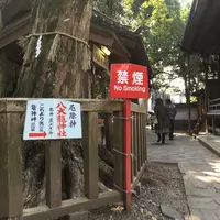 竹島の写真・動画_image_65312