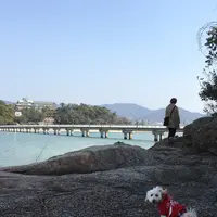 竹島の写真・動画_image_65327