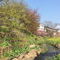 畑毛せせらぎ公園の写真・動画_image_65331