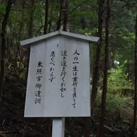 日光東照宮の写真・動画_image_6538