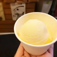 まるごと高知の写真・動画_image_6551