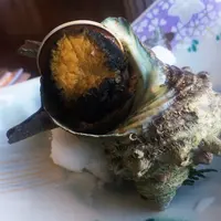 網元料理徳造丸 本店の写真・動画_image_65576