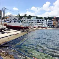網元料理徳造丸 本店の写真・動画_image_65577