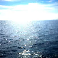 堂ケ島の写真・動画_image_65579