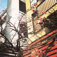 イノダコーヒ 本店の写真・動画_image_65814