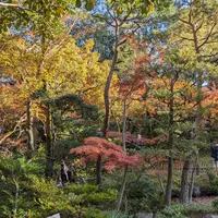 根津美術館の写真・動画_image_658289