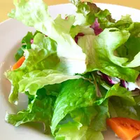 ビルーチェ(Biluce)の写真・動画_image_65925