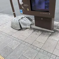 笠岡駅の写真・動画_image_661385
