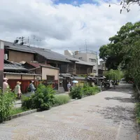 白川筋の写真・動画_image_662353