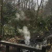 岳の湯地獄谷温泉 裕花の写真・動画_image_66293