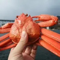 境港水産物直売センターの写真・動画_image_6674
