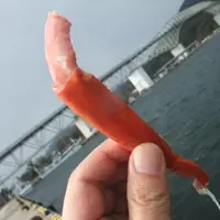 境港水産物直売センターの写真・動画_image_6675