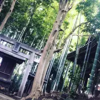徳雄山 建功寺の写真・動画_image_66785