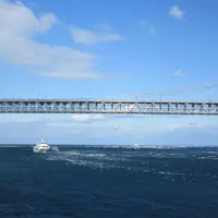 うずしおクルーズの写真・動画_image_669333