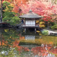 紅葉渓庭園の写真・動画_image_6724