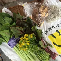 鎌倉市農協連即売所の写真・動画_image_67299