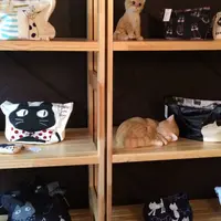 cafe Mario(カフェマリオ)~休みの国~の写真・動画_image_67433