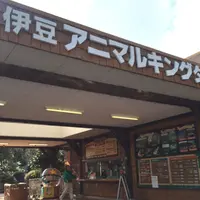 伊豆アニマルキングダムの写真・動画_image_67463