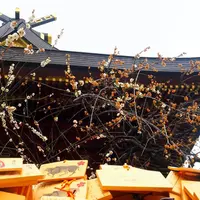 湯島天満宮（湯島天神）の写真・動画_image_67539