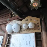 慈尊院の写真・動画_image_676629