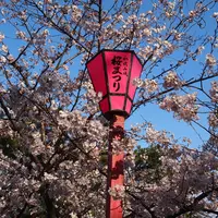 和歌山城の写真・動画_image_6767