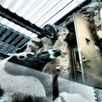 京都水族館の写真・動画_image_67707