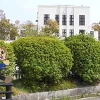 ヒラサワ ユイの写真・動画_image_6772