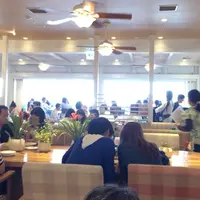 エッグスンシングス 神戸ハーバーランド店 （Eggs'n Things）の写真・動画_image_67807