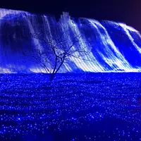 ハウステンボスの写真・動画_image_67850