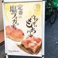 パネ・ポルチーニ（PANE PORCINI）の写真・動画_image_68102