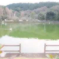 滝の宮公園の写真・動画_image_68128