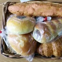 ぱんすぽっとの写真・動画_image_68169