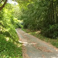 茅葺き茶屋 月空の写真・動画_image_6819