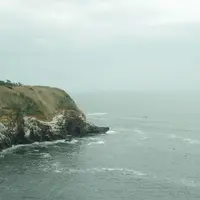 城ケ島の写真・動画_image_68194