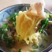 白ひげ食堂の写真・動画_image_6839