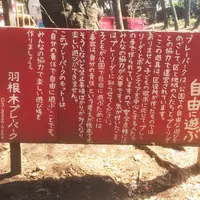 羽根木公園の写真・動画_image_68502